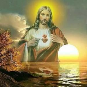 Meet your Posher, Carmelina